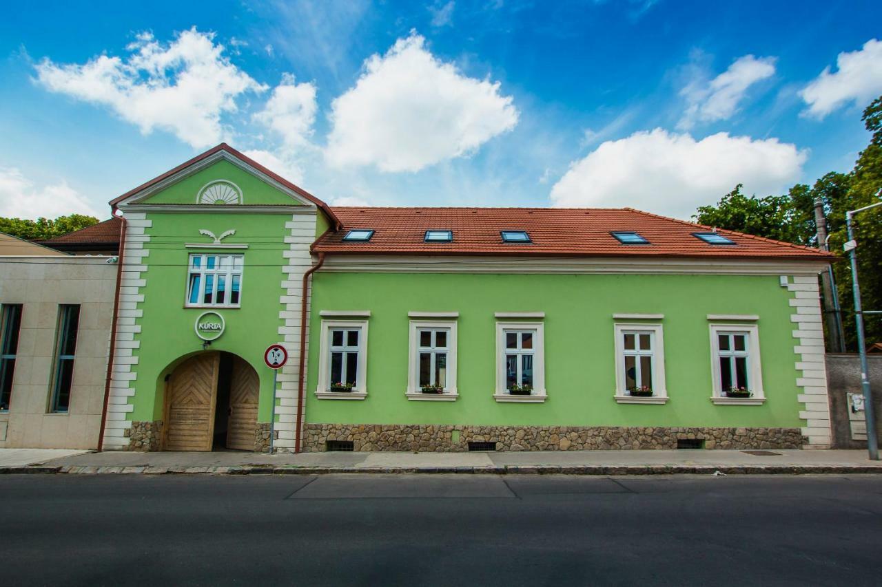 Penzion Kuria Nové Mesto nad Váhom Екстериор снимка